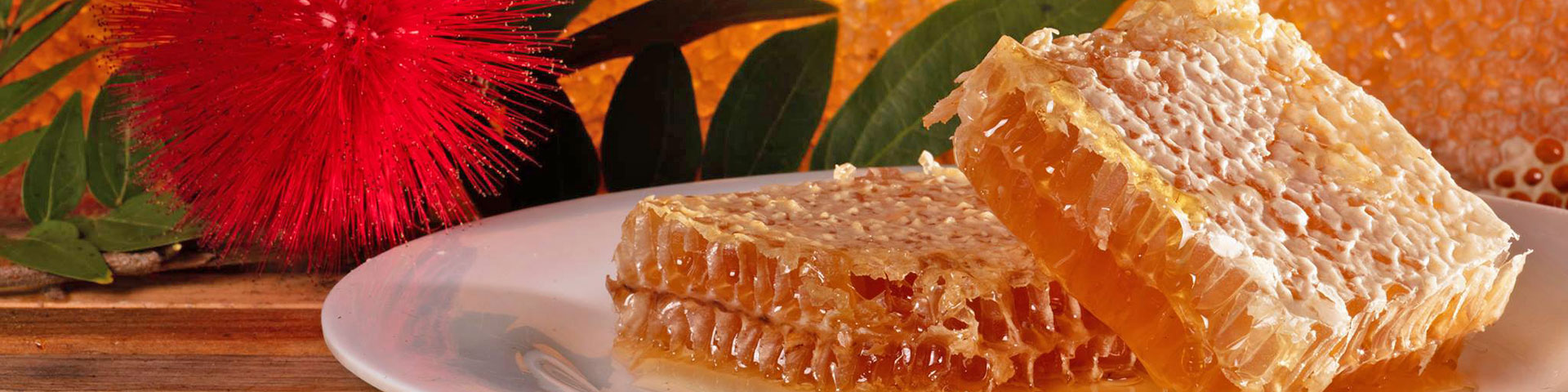 <span>Honey</span> Facts
