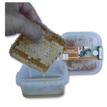 Fresh Honeycomb Square
