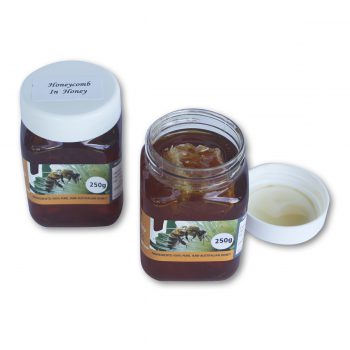 Honeycomb in Honey