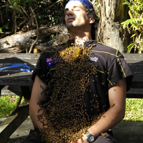 Hamish and Andy Honey House Kuranda