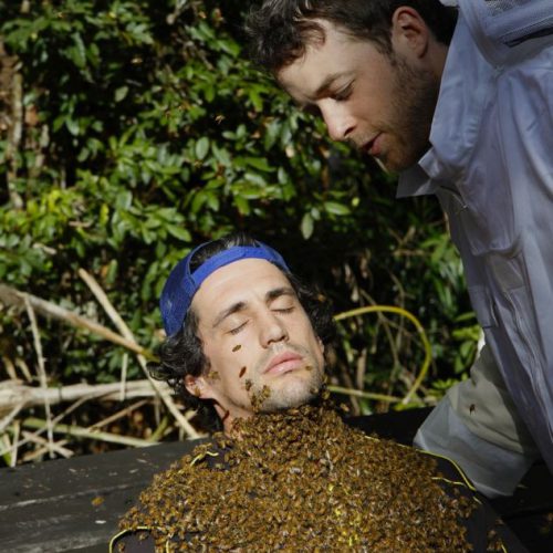 Hamish and Andy Honey House Kuranda