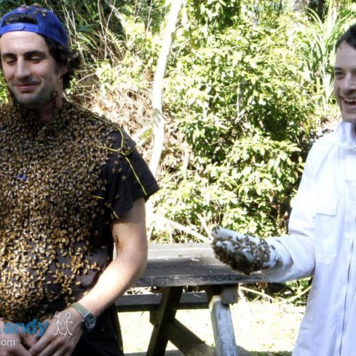 Hamish and Andy Honey House Kuranda
