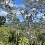 kuranda